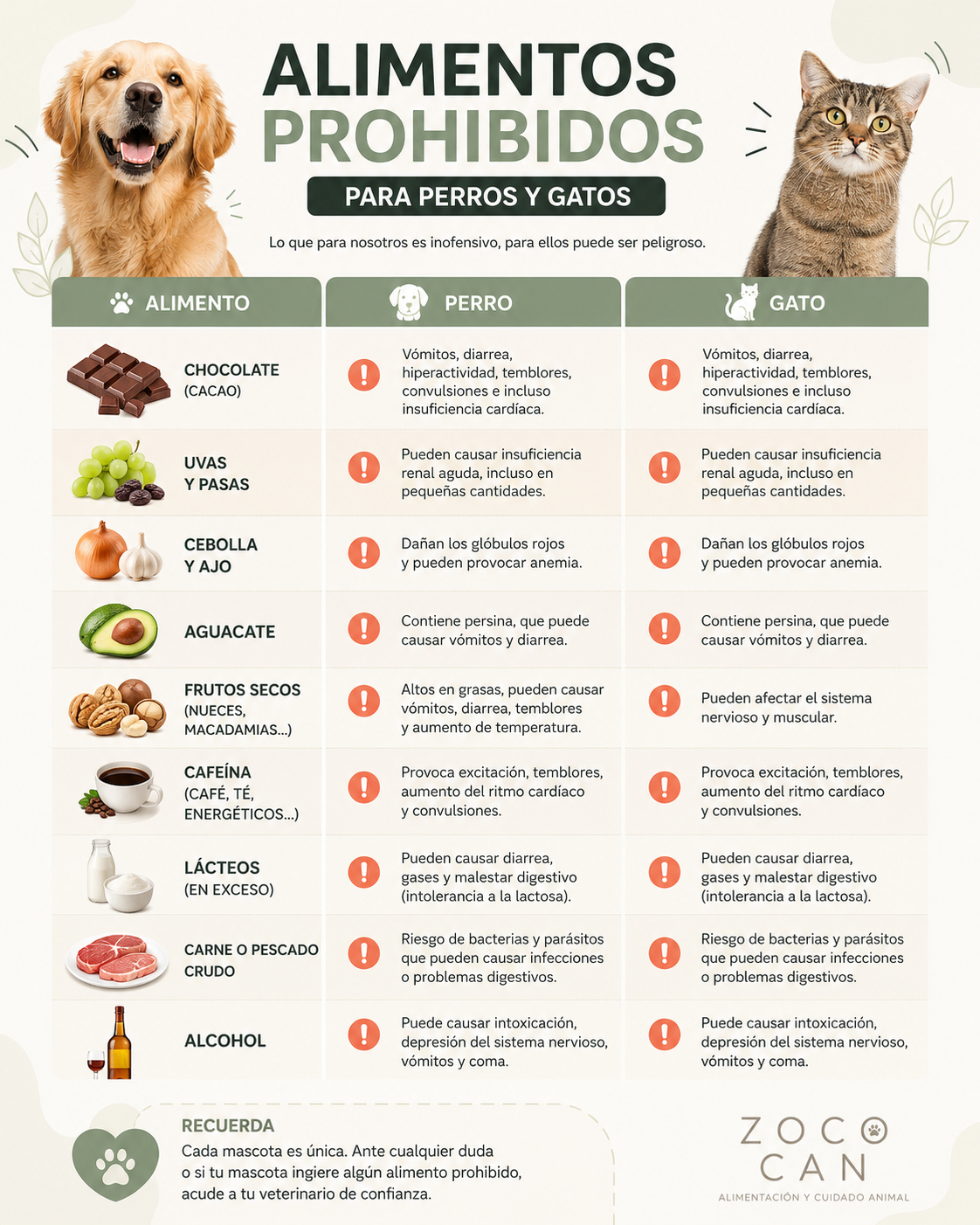 Alinetos prohibidos para el perro y el gato