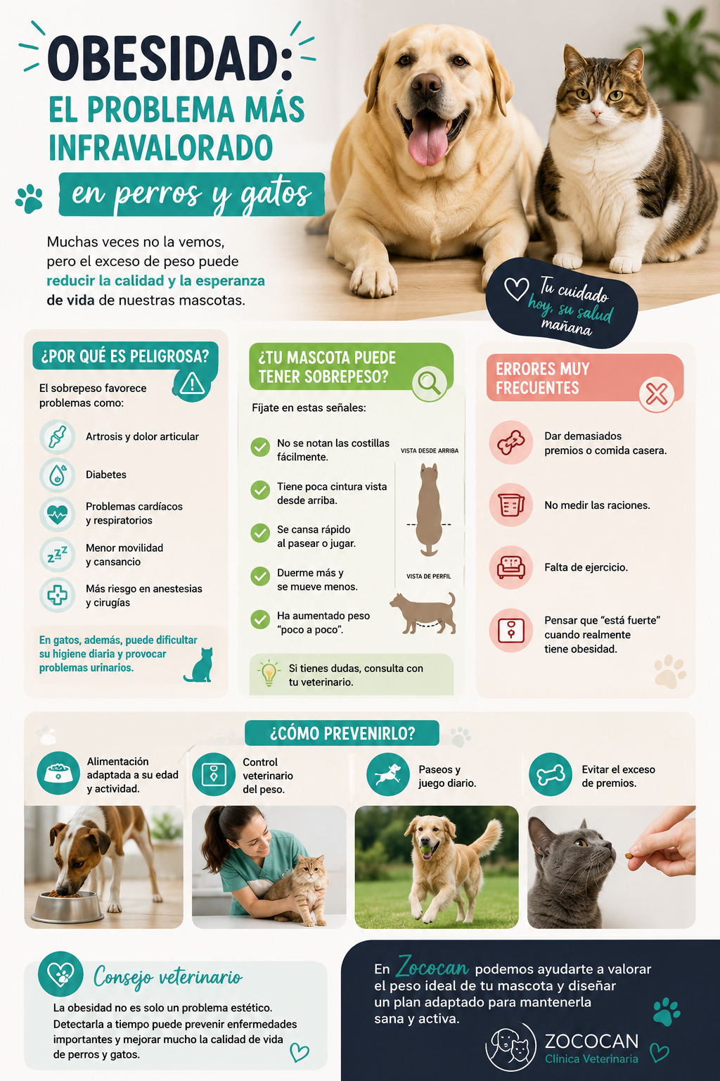 Obesidad en perros y gatos